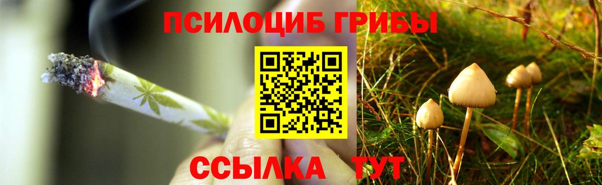 Псилоцибиновые грибы ЛСД Симферополь